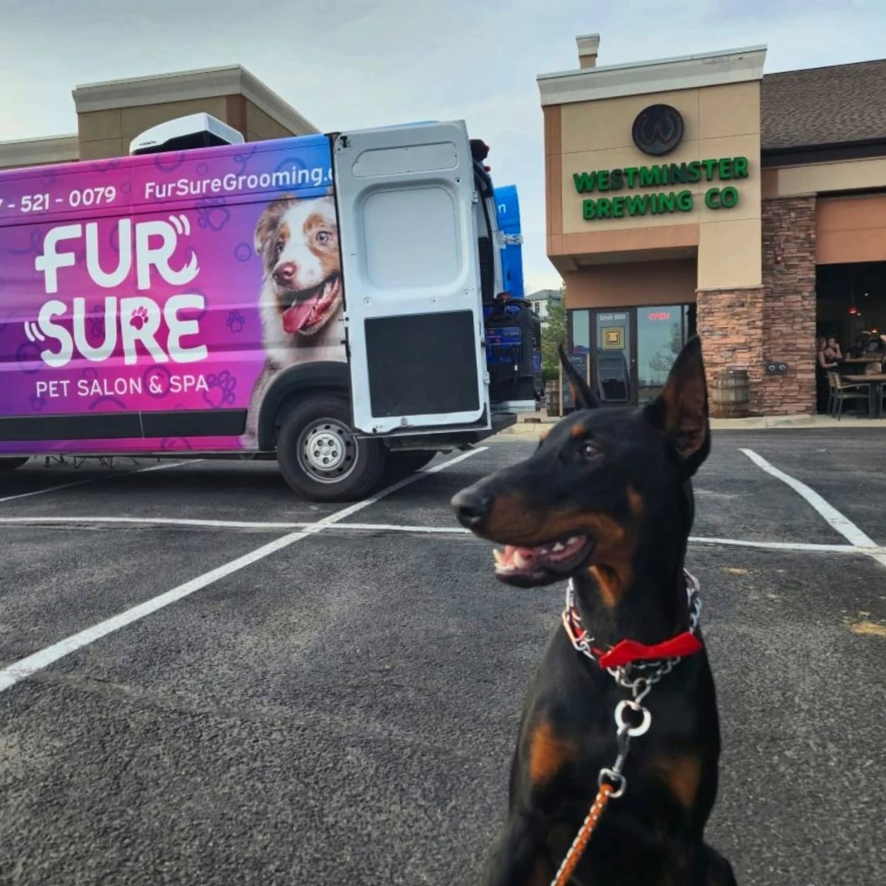 Westminster Pop-up event